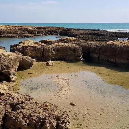 Apartamento 2 Terrace Town House